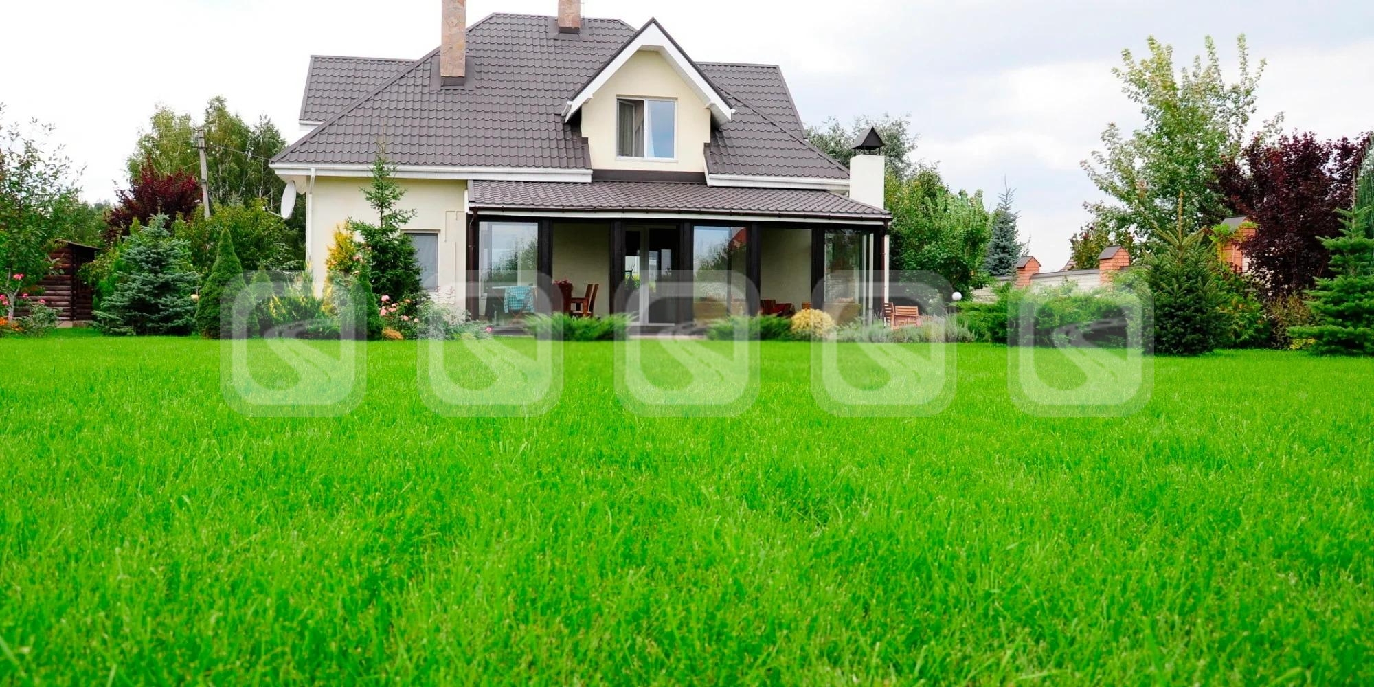 Рулонный газон Премиум